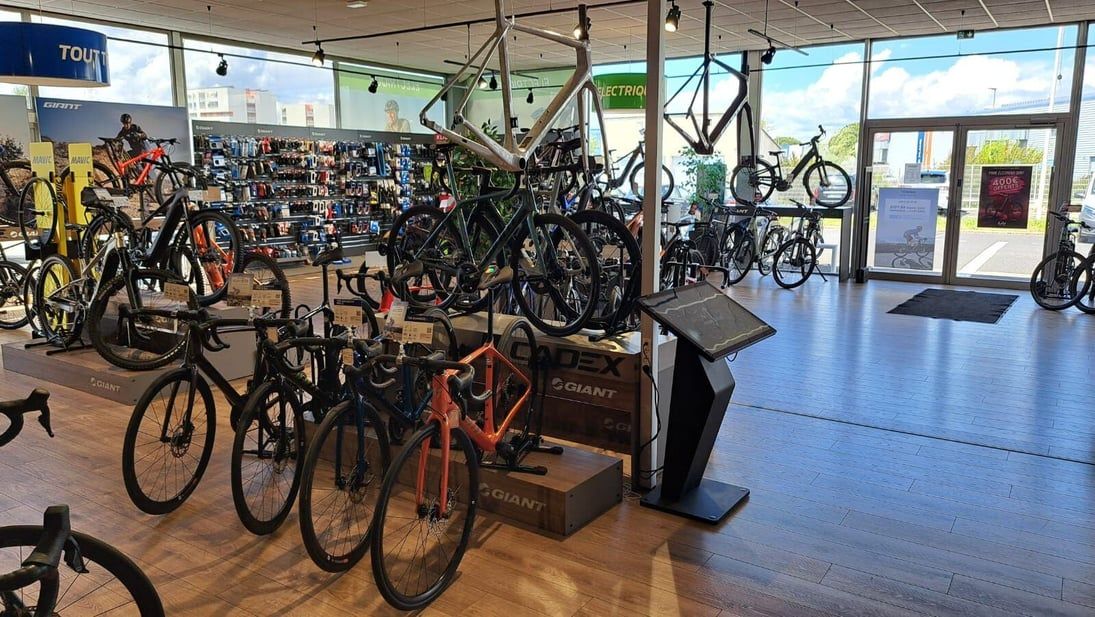 Bicycles on display inside a Giant store, in front of the storefront windows