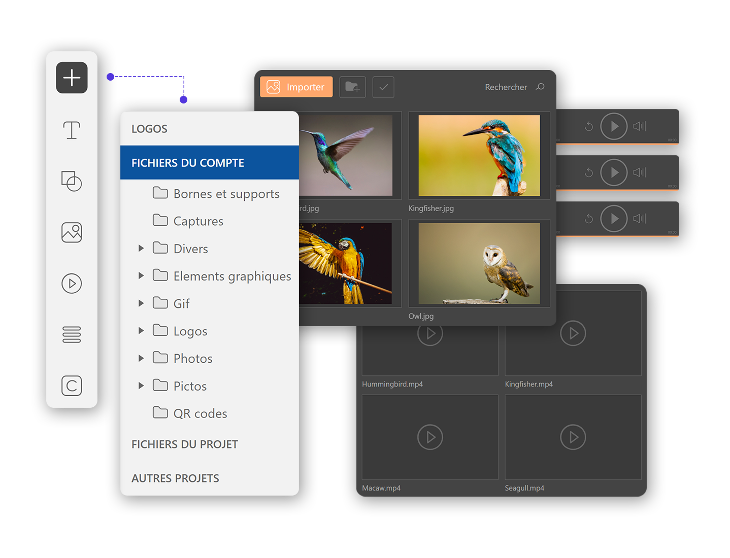 Import and manage media files